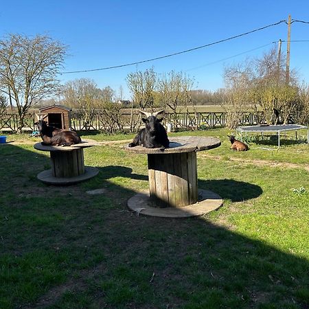 La Ferme Du Paradis Merris Exterior foto