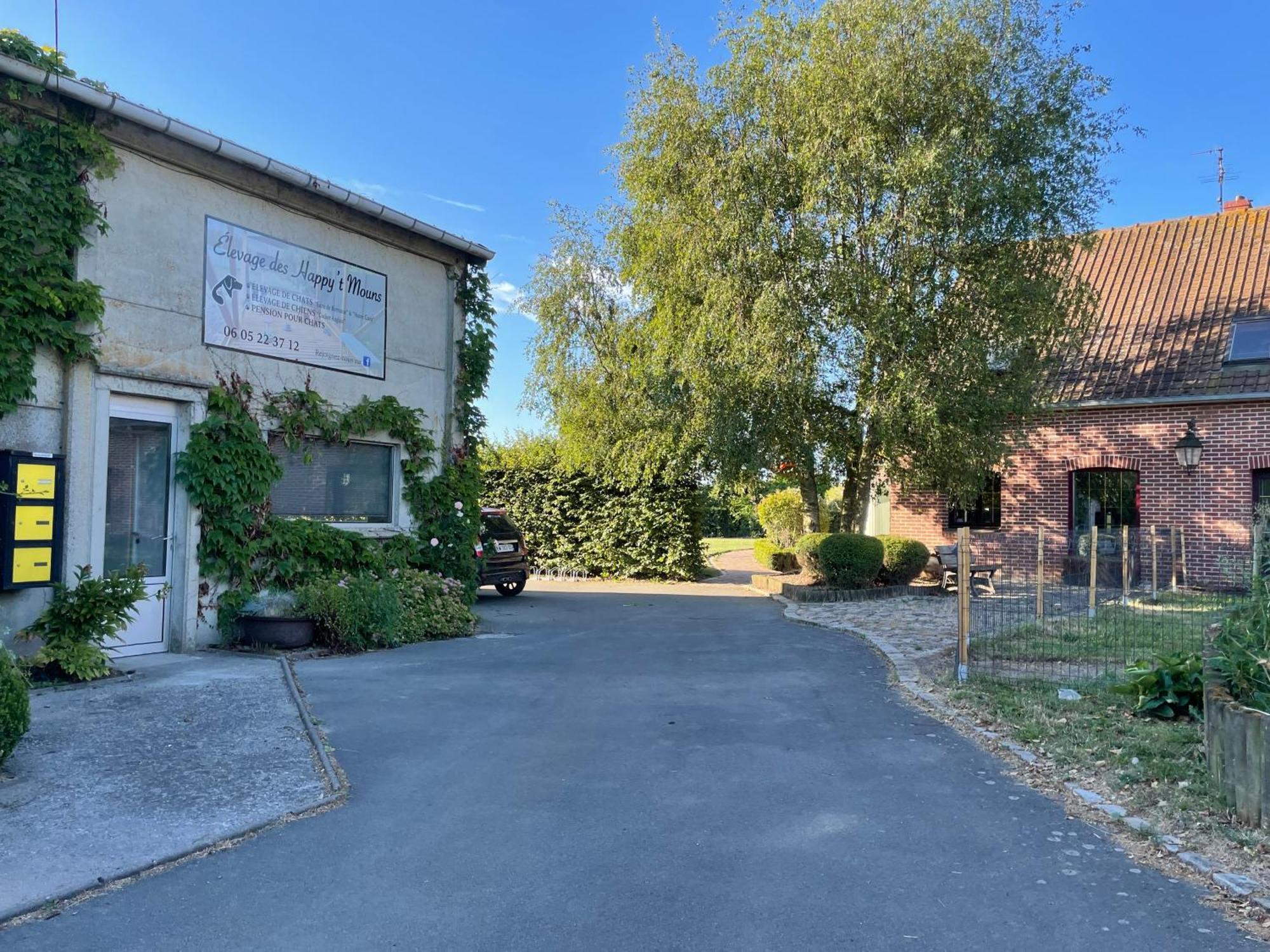 La Ferme Du Paradis Merris Exterior foto