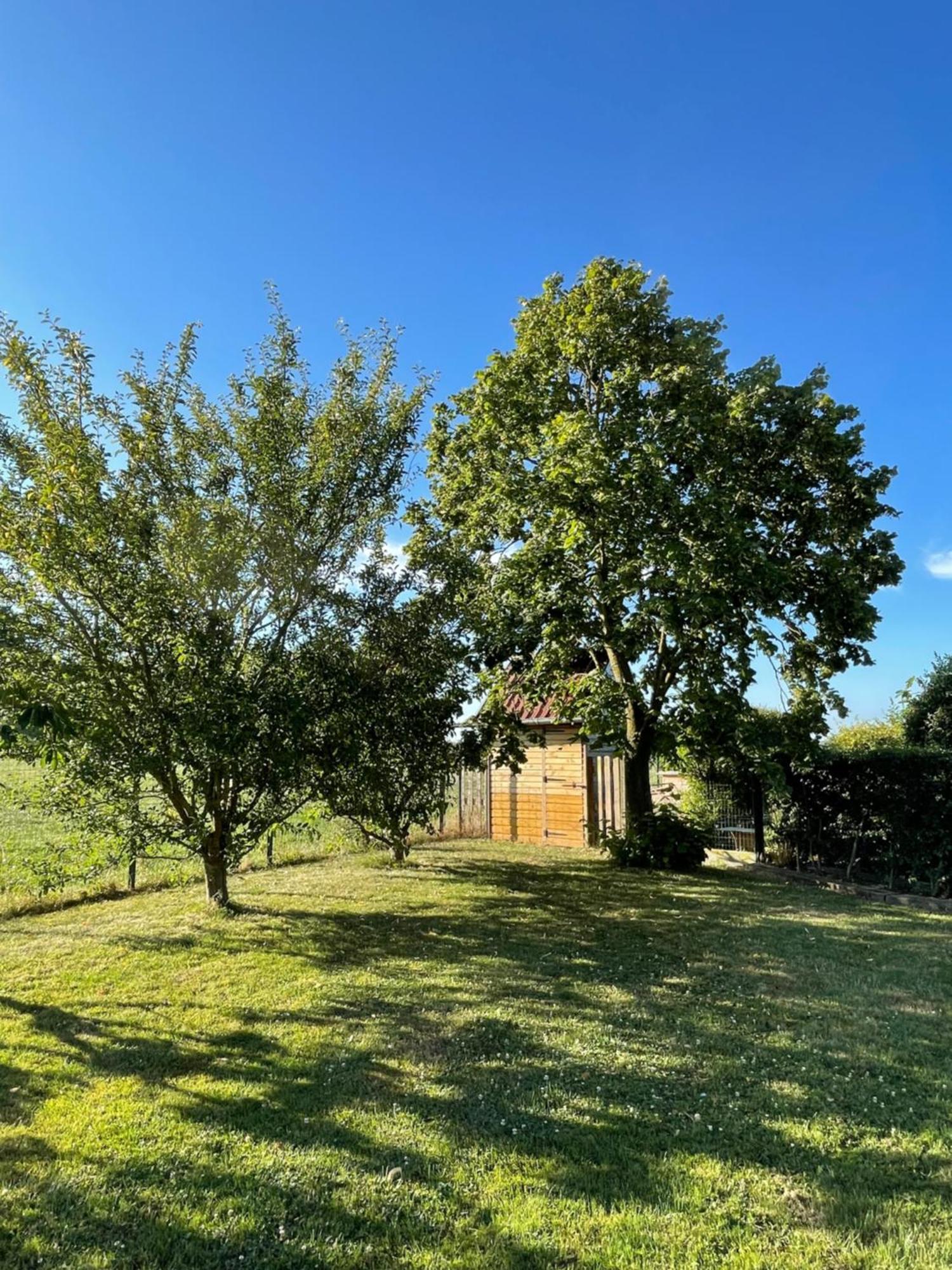 La Ferme Du Paradis Merris Exterior foto